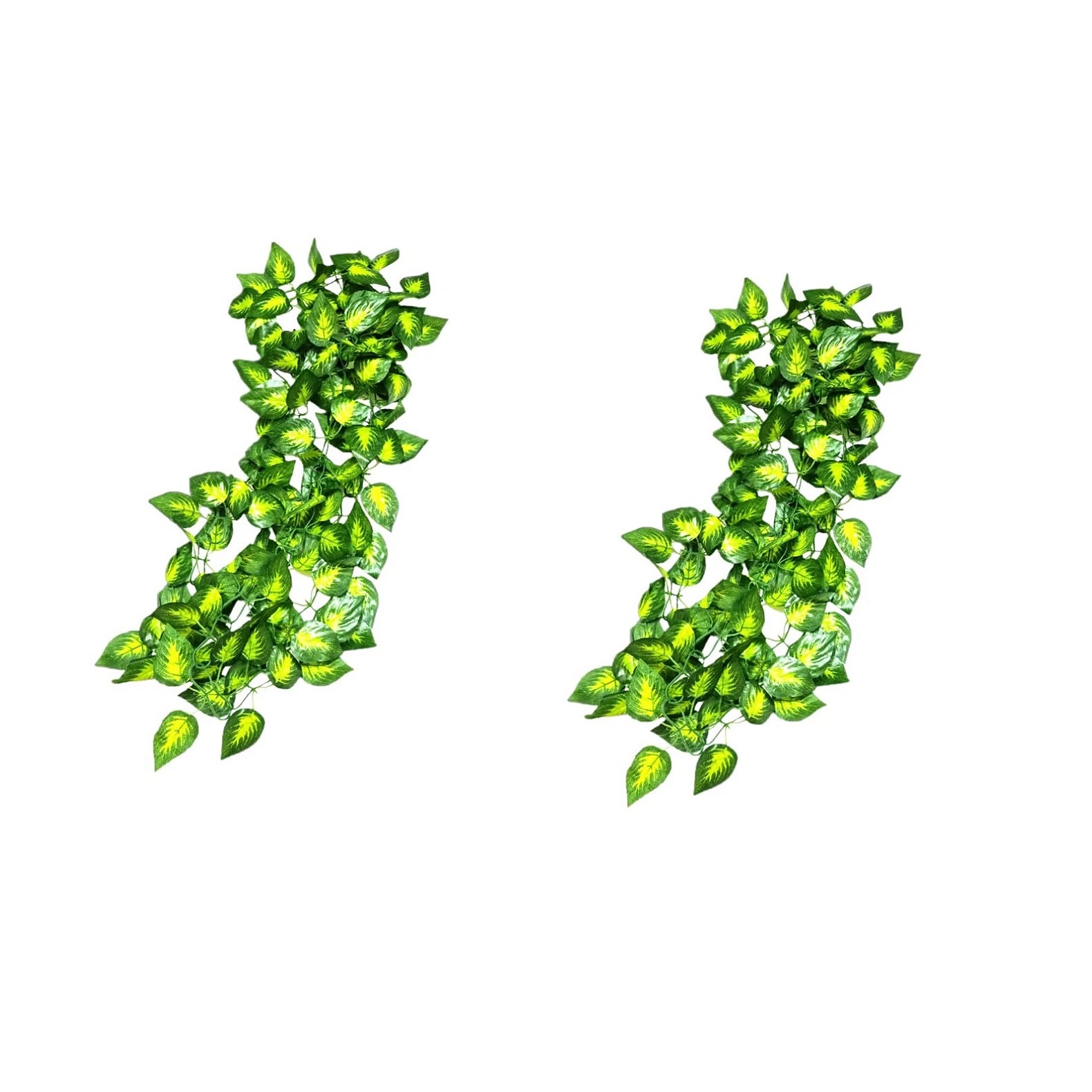ریسه برگ زنجیری پتوس ابلق بسته 2 عددی